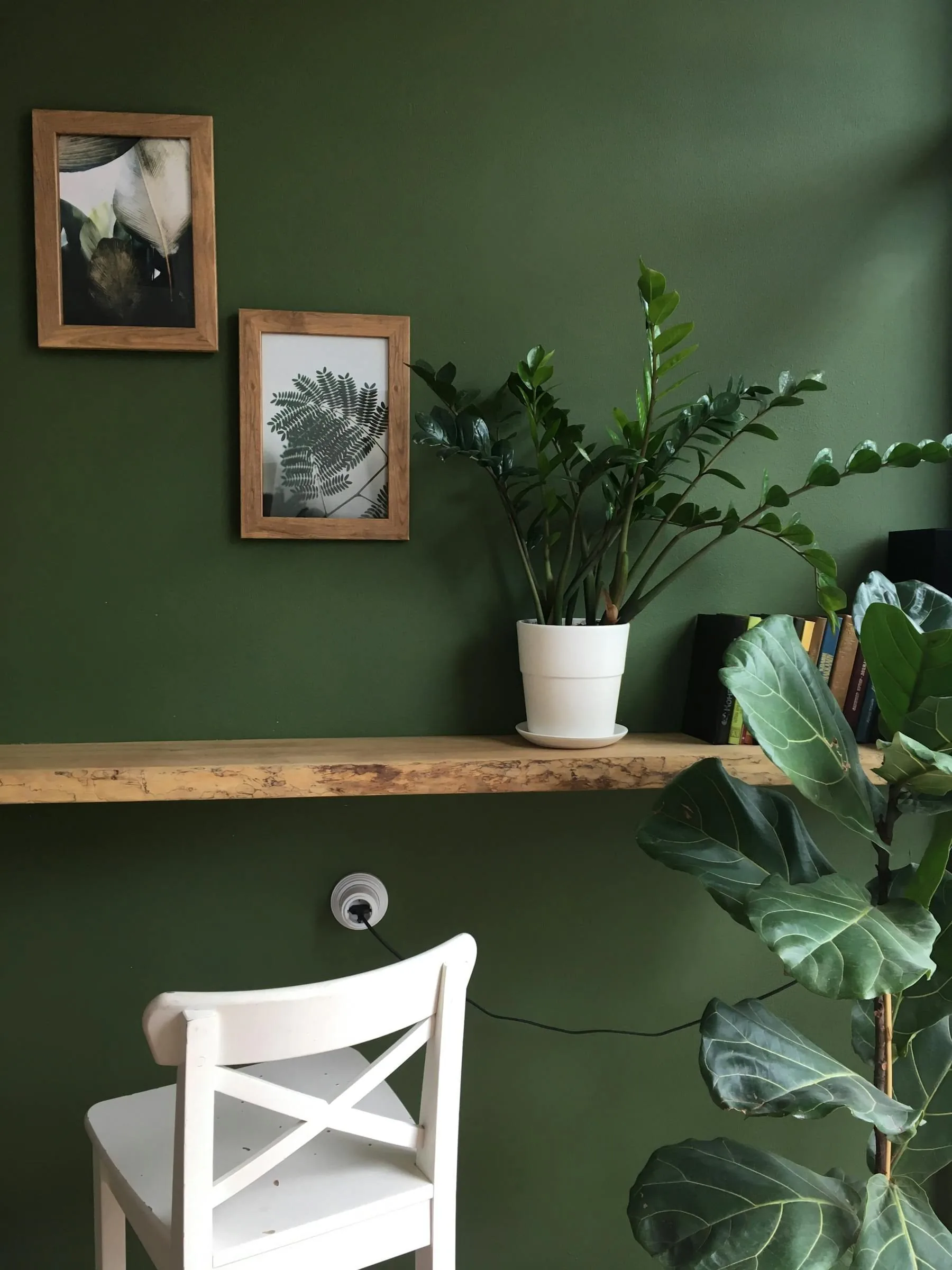 Green wall with plant, framed art, and wood shelf in a calm abundance-friendly corner