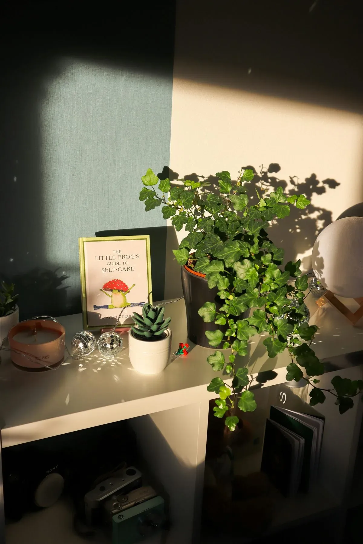 Sunlit shelf with small plant, candle, and warm decorative objects