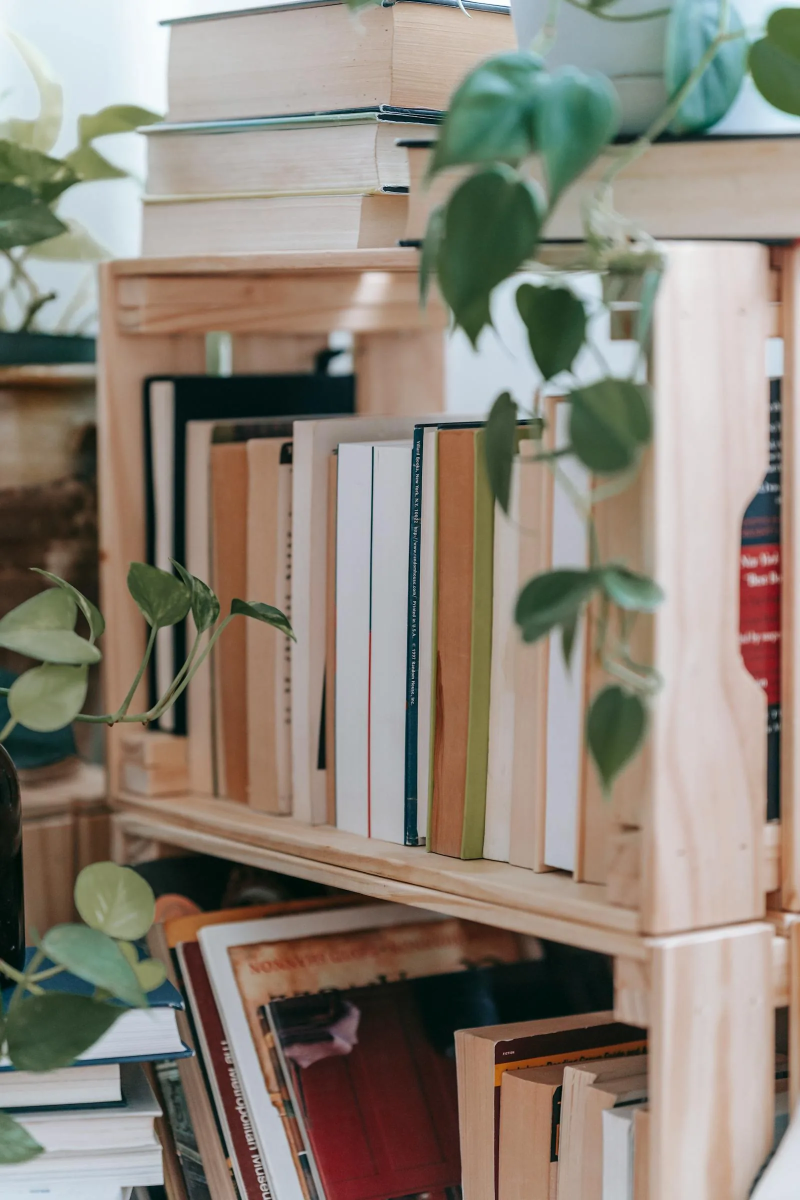 Wood shelves with books and trailing plants in a calm home reading corner