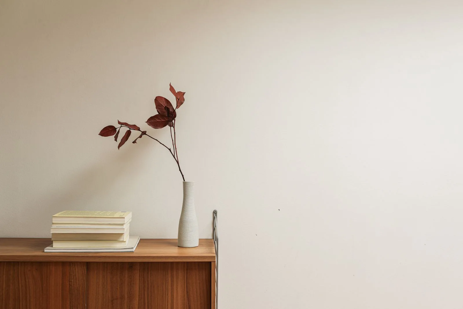 A narrow white ceramic vase with red leaves beside books on a timber cabinet