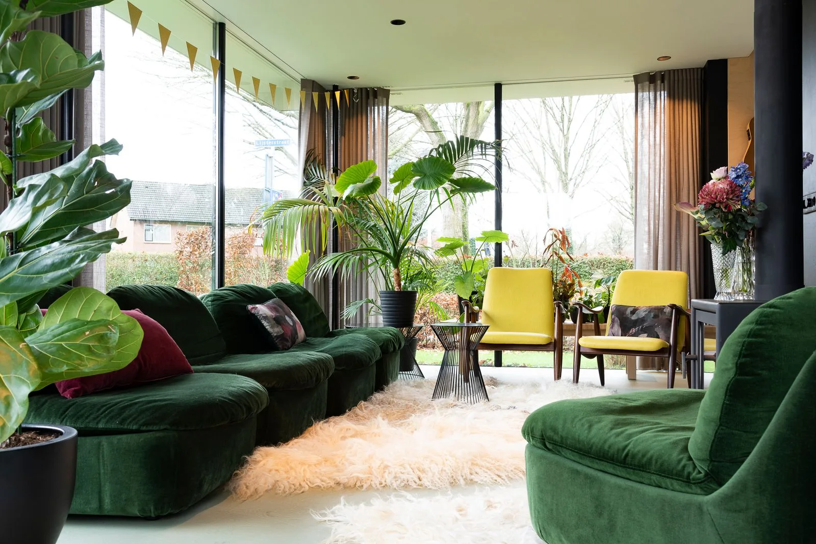 Green sofas and yellow chairs in a real living room with broad windows and curtains drawn aside