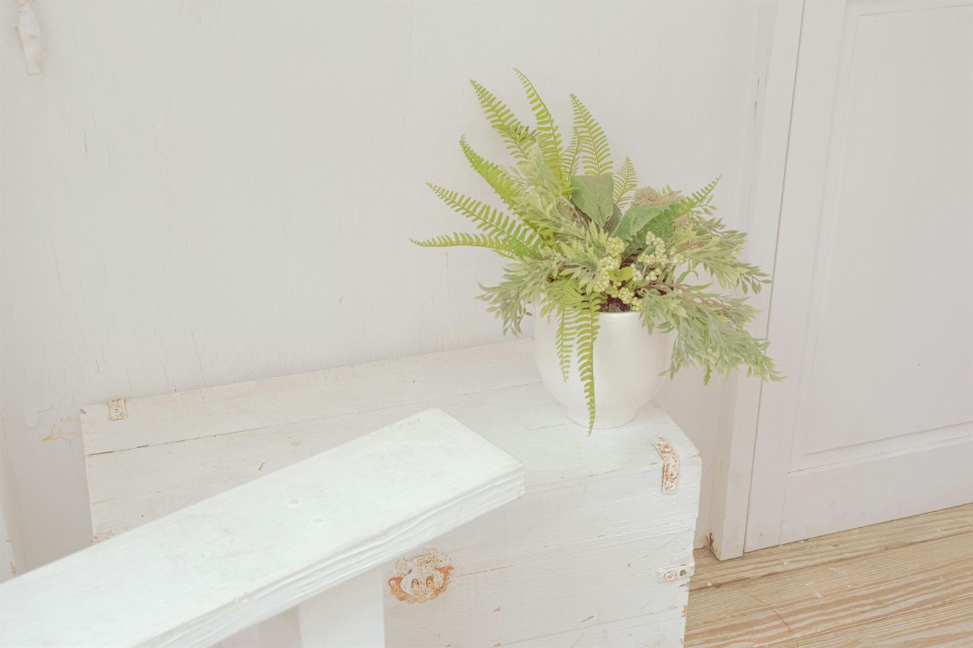 Soft fern foliage in a white pot on a pale porch-like surface