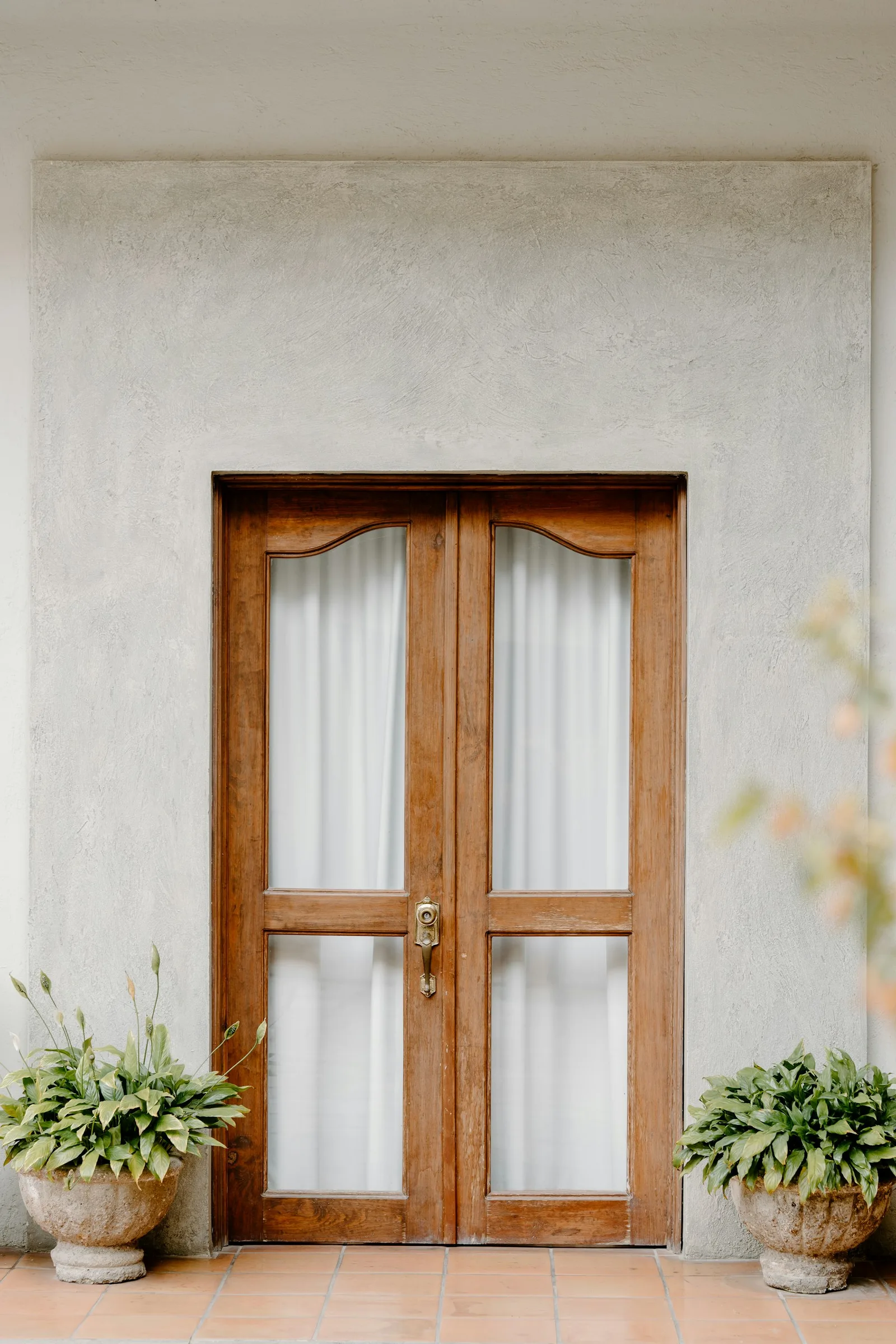 Wood front door framed by two low planters and a clean pale exterior wall