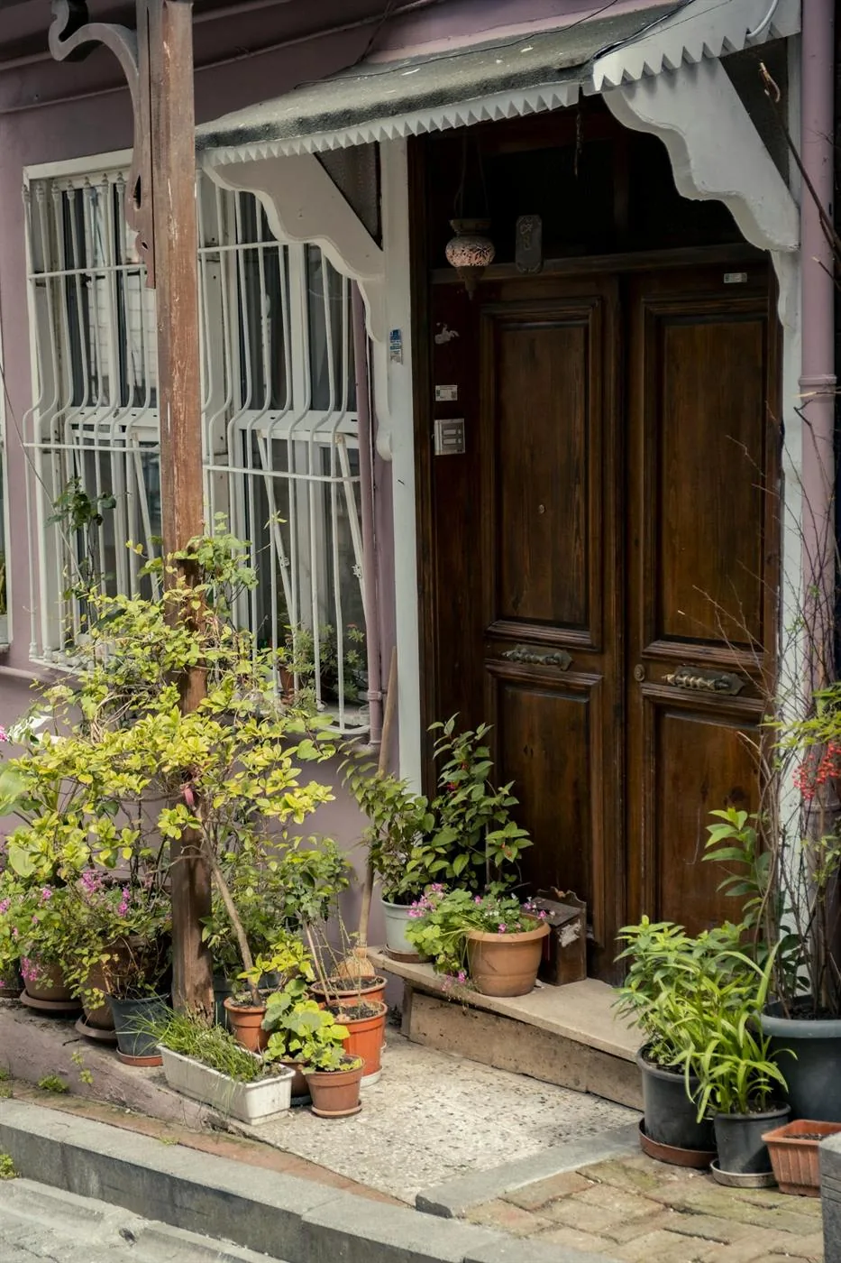 Older wooden front door with many plants gathered near the entrance