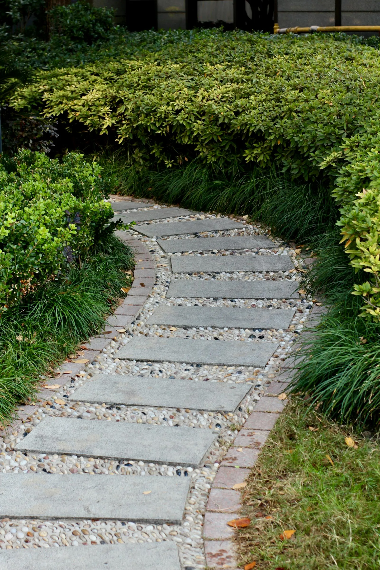 Garden stepping-stone path bordered by clipped greenery and soft planting