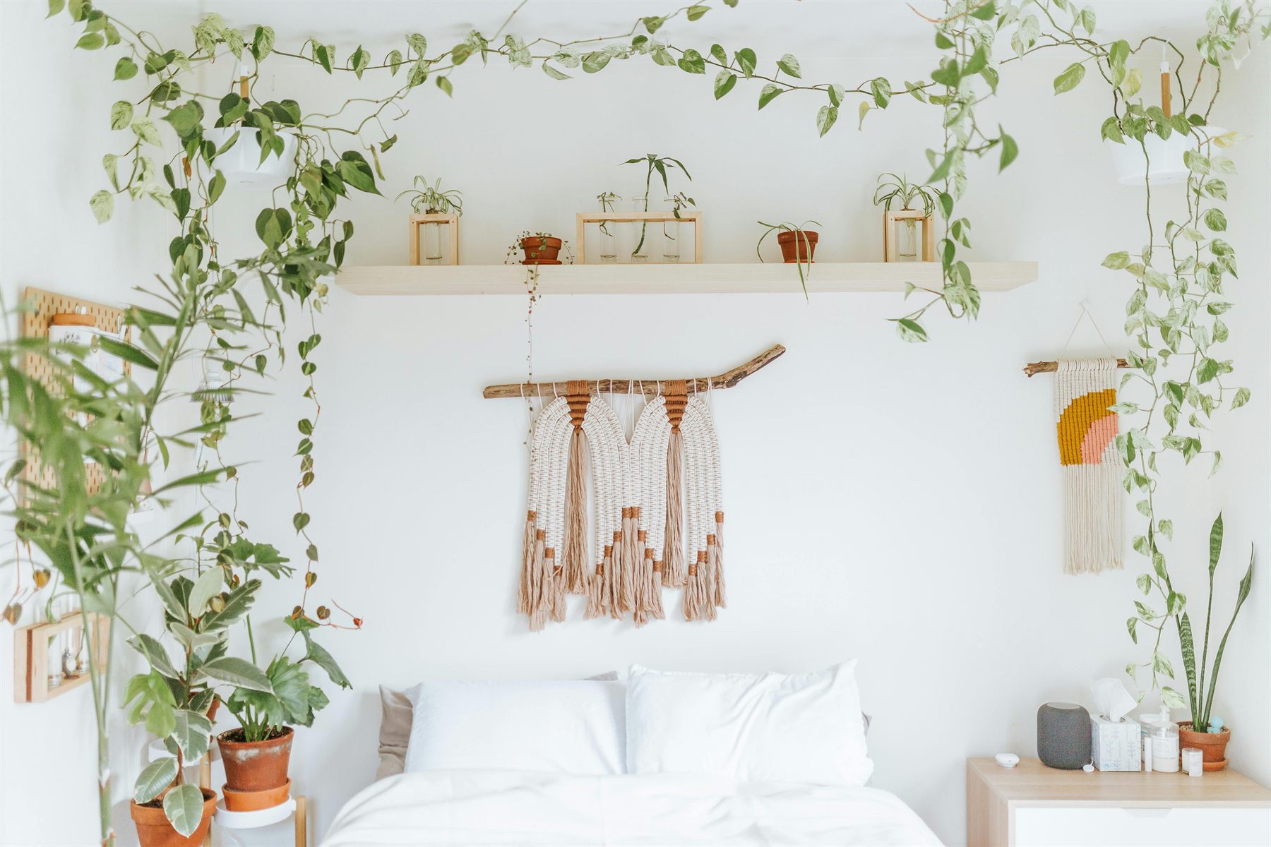 Bedroom with indoor plants near a window and soft bedding