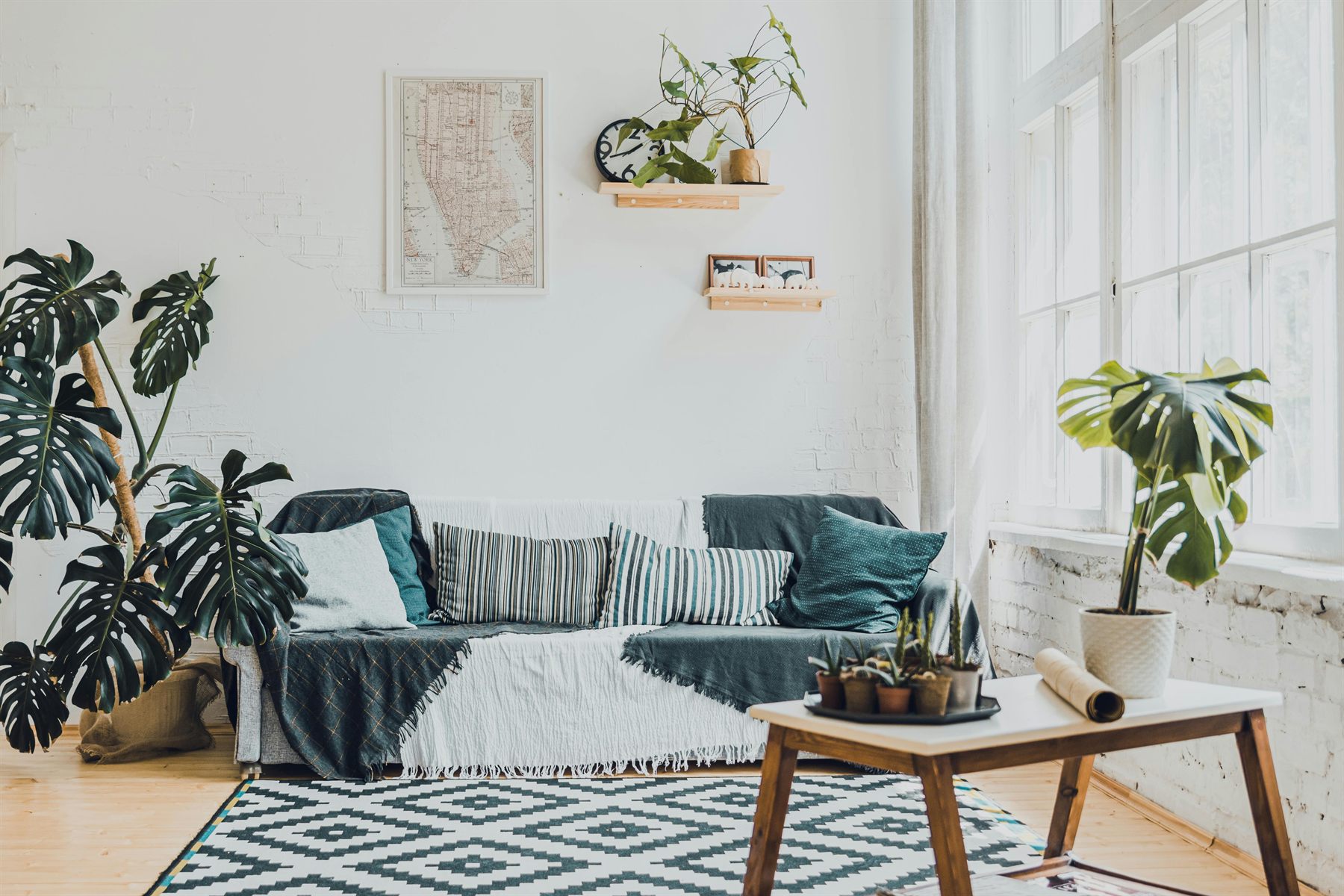 Living room with plants, soft light, and natural wood details