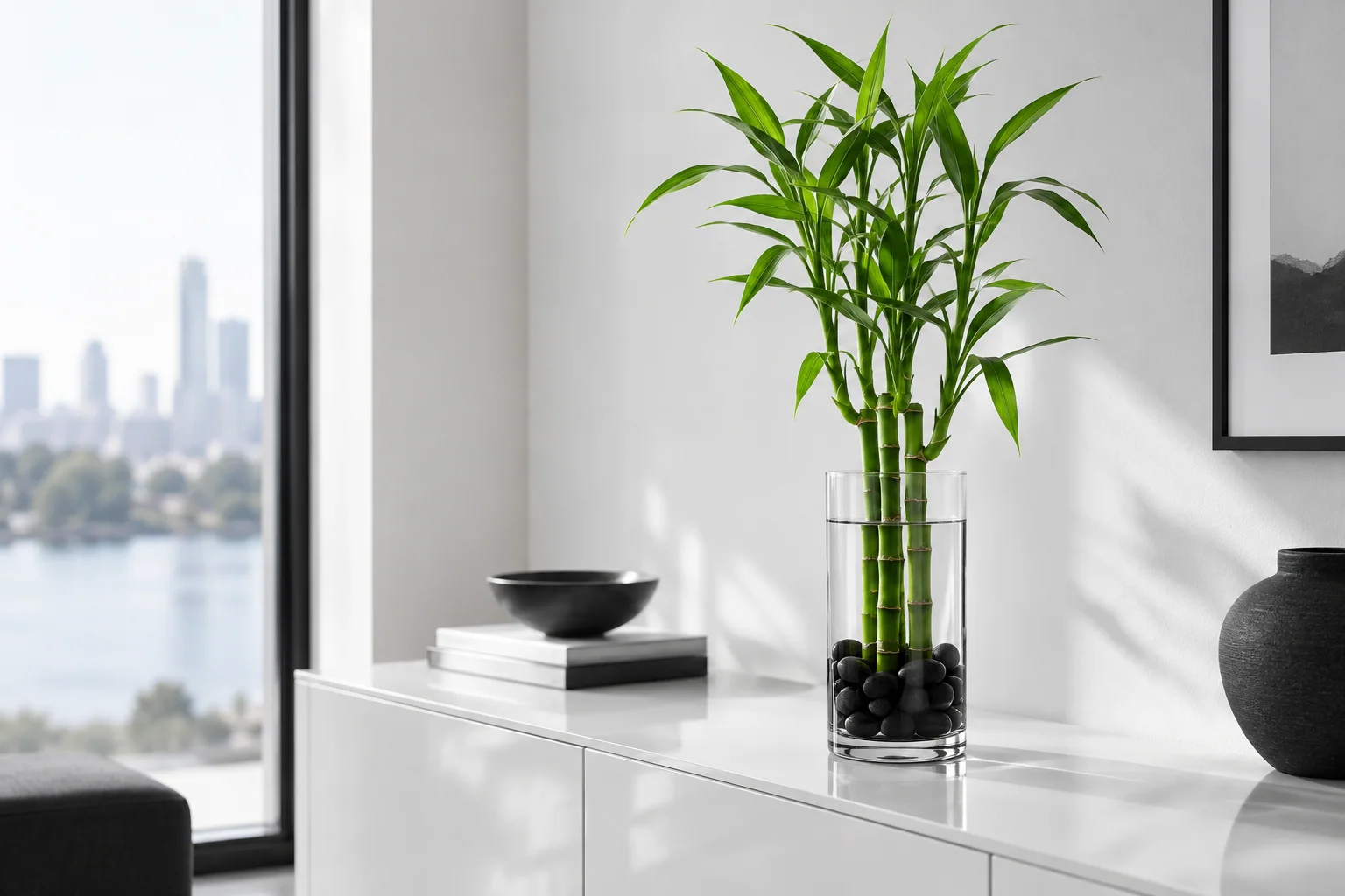 Healthy lucky bamboo in a clear glass vase on a white console near indirect daylight