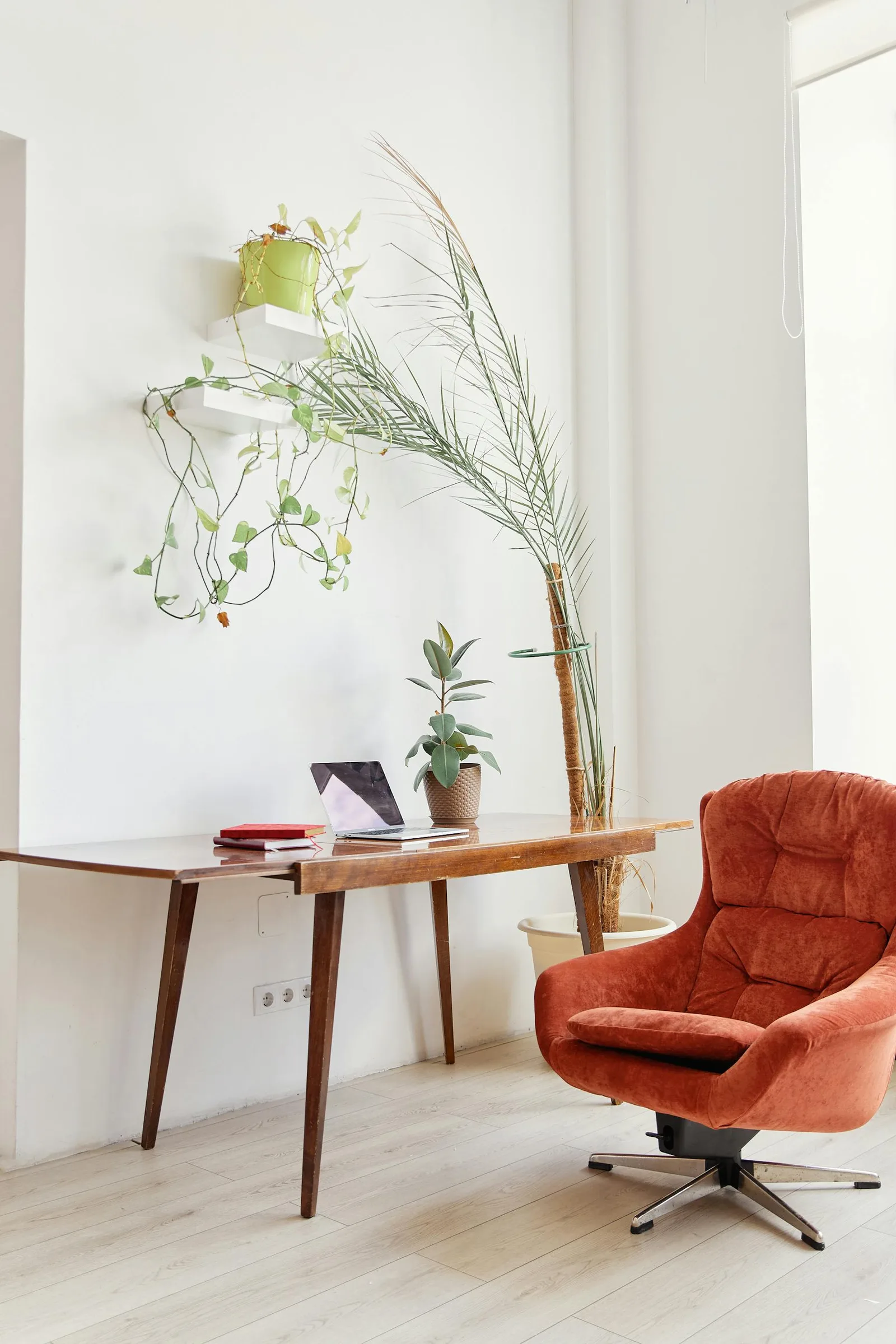 Tall leafy office plant beside a warm desk and chair