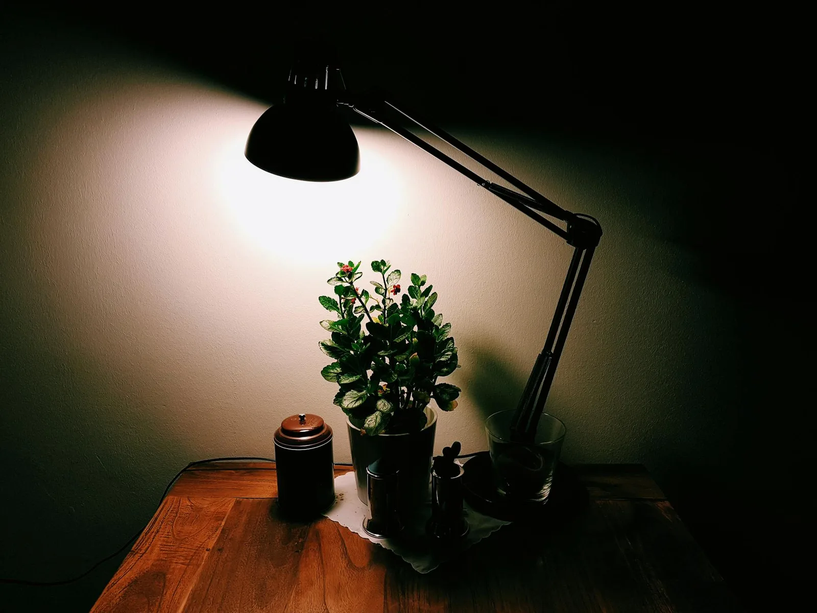 Dark desk corner with task lamp, small plant, and warm focused light