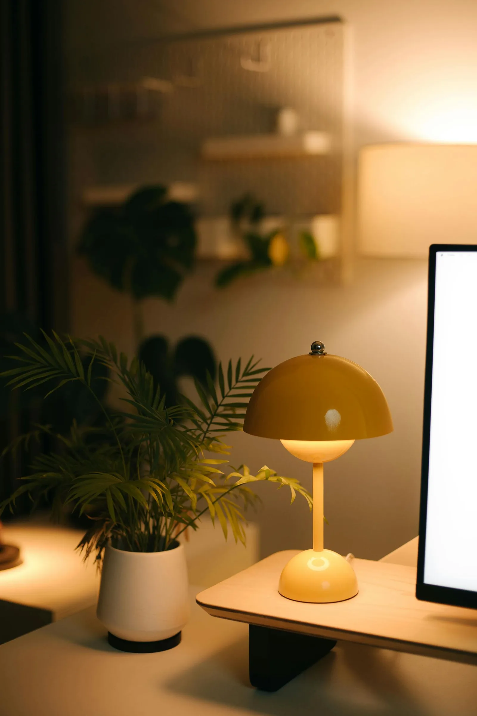 Warm desk lamp glowing beside plants and a computer screen in a home office