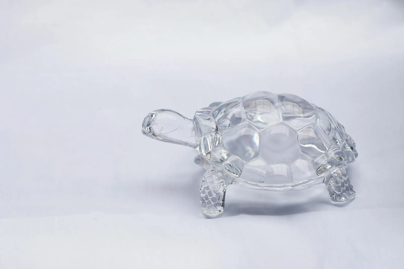 Crystal turtle figurine on a simple white surface