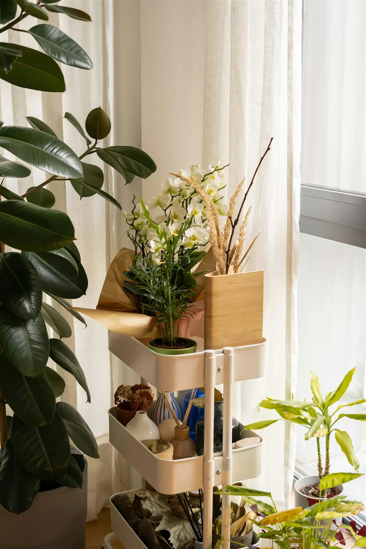 Styled shelf or cart with a healthy plant in warm natural light