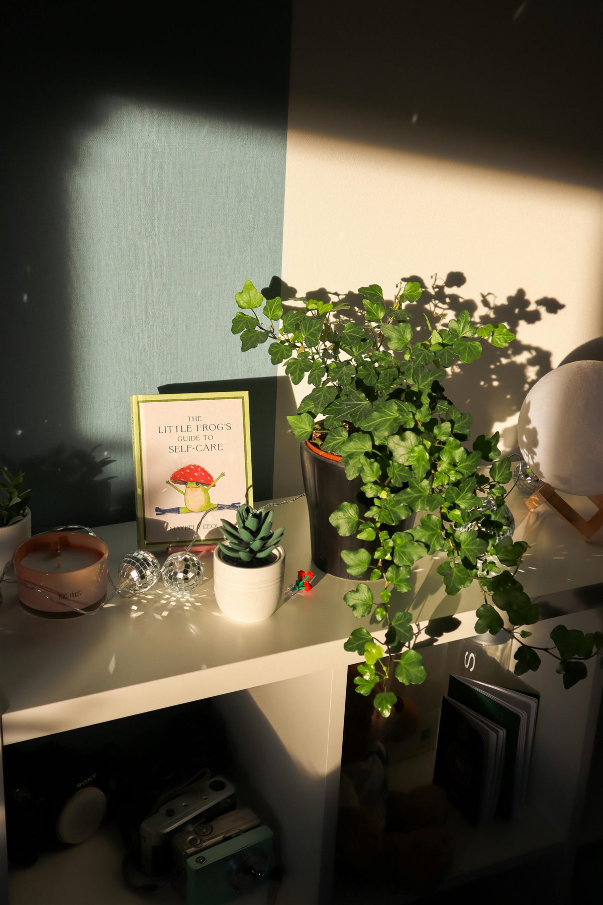 Sunlit shelf with a trailing plant, small framed art, candle, and tiny succulent