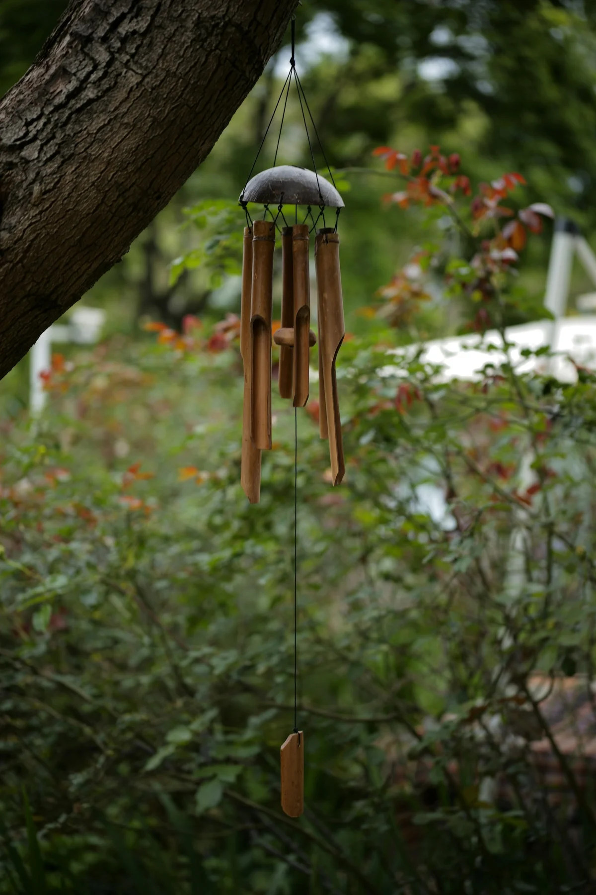 Bamboo tube chime with a wooden striker hanging among green garden foliage
