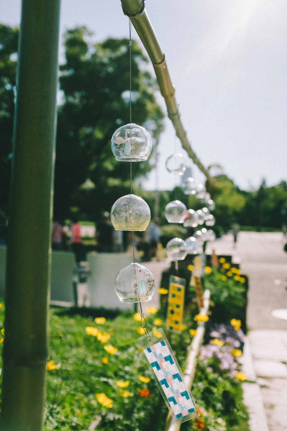 Transparent glass wind bells suspended from bamboo above a garden path
